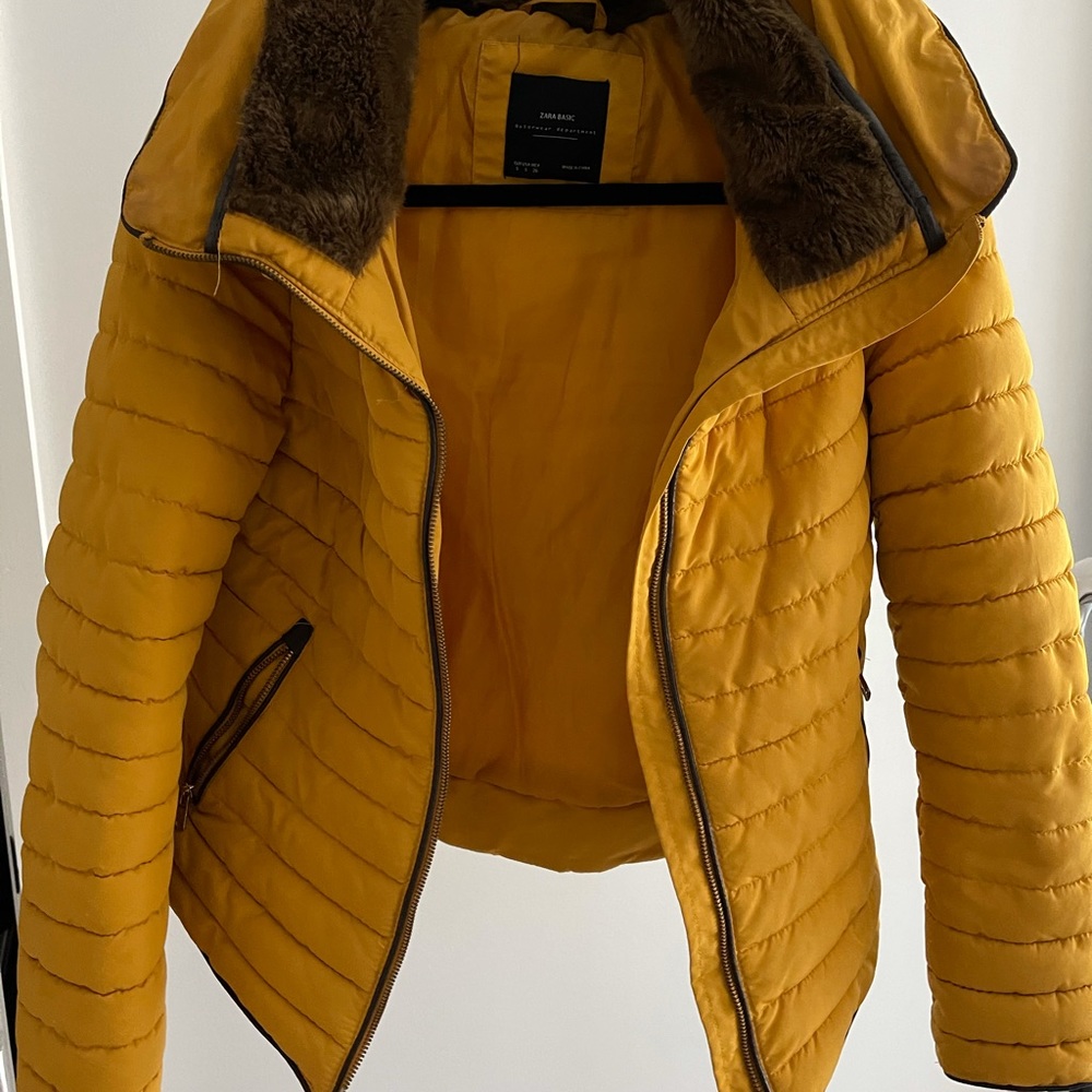 Winter jacket